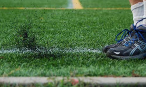 turf-picture1
